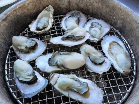 烤鮮蚵吃到飽